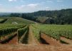 Winery Tours